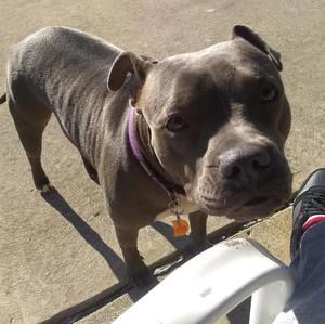 Meet your Posher, Nathaniel